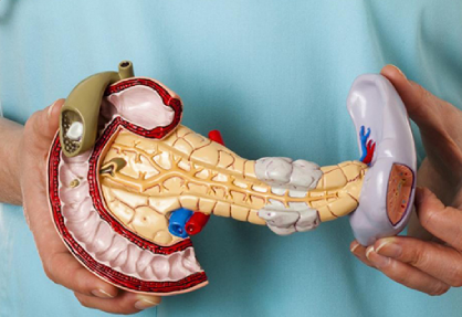 Pancreatic Surgery (Whipple Procedure)